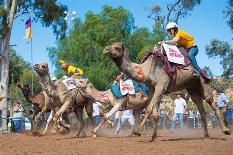 camel cup alice springs 2023